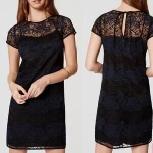 NWT LOFT Lace Dress Blue & Black Sheer Yoke Short Sleeve Mini Shift Dress Size 6